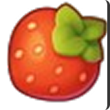 fruits
