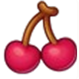 fruit