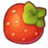 fruit