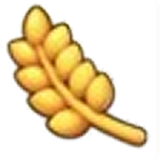 fruit
